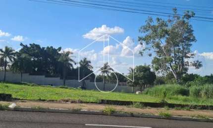 Terreno comercial à venda na Avenida Warner Gomes Fernandes, 100113, Parque das Esmeraldas, Marília