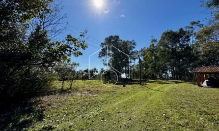 Chácara / sítio à venda na Rodovia Transbrasiliana - Sp 333, 30176, Área Rural de Marília, Marília