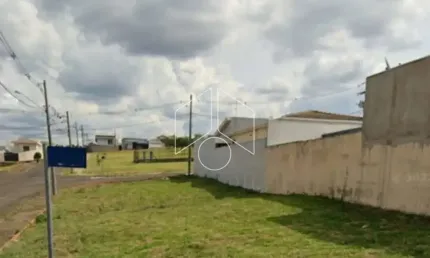 Terreno comercial à venda na Rua Elcio Assis Machado, 81, Jardim Florença, Marília