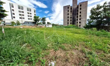 Terreno comercial à venda na Avenida Monte Carmelo, 99, Fragata, Marília