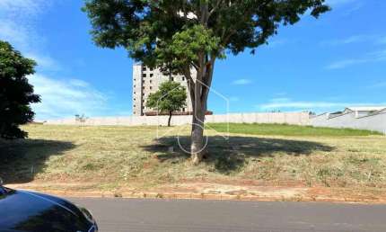 Terreno comercial à venda na Rua dos Tucunarés, 75, Jardim Maria Martha, Marília