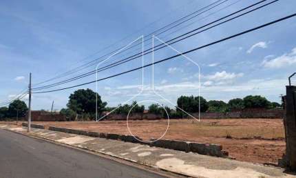 Terreno comercial à venda na Avenida Doutor Durval de Menezes, 63, Núcleo Habitacional Nova Marília, Marília
