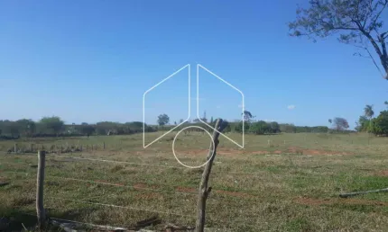 Terreno comercial à venda na Rodovia Dona Leonor Mendes De Barros, Km 133, 93, Área Rural de Marília, Marília