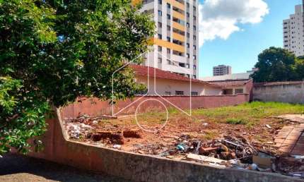 Terreno comercial à venda na Avenida Carlos Gomes, 72, Centro, Marília