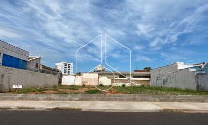 Terreno comercial à venda na Rua Júlio de Mesquita, 83, Jardim Maria Izabel, Marília