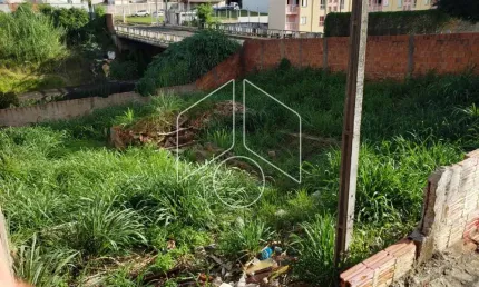 Terreno comercial à venda na Rua Araraquara, 90385, Alto Cafezal, Marília