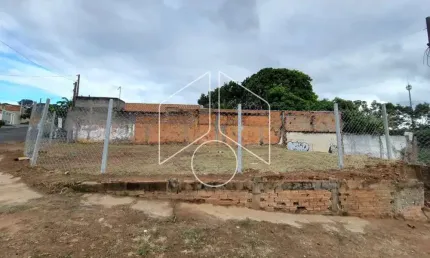 Terreno comercial à venda na Rua das Dálias, 79, São José, Marília