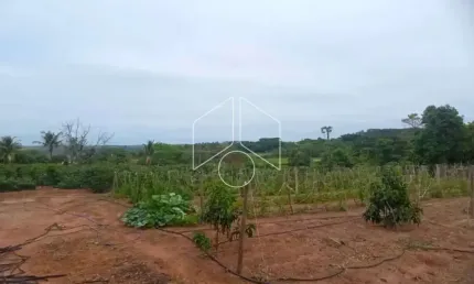 Chácara / sítio à venda na Estância Do Lago, 3, 98, Área Rural de Marília, Marília
