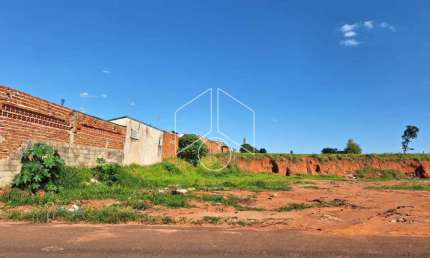Terreno comercial à venda na Avenida Eliezer Rocha, 59, Jardim Santa Antonieta, Marília