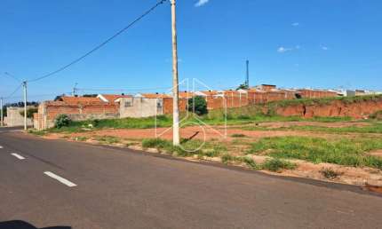 Terreno comercial à venda na Avenida Eliezer Rocha, 71, Jardim Santa Antonieta, Marília