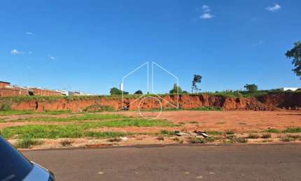 Terreno comercial à venda na Avenida Eliezer Rocha, 98, Jardim Santa Antonieta, Marília