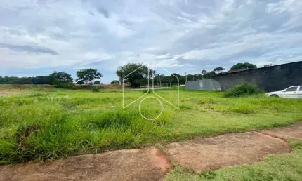 Terreno comercial à venda na Rua Honório Queiros Coutinho, 56, Residencial Vida Nova Maracá (Padre Nobrega), Marília