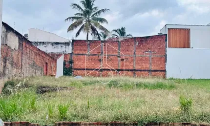 Terreno comercial à venda na Rua Salvador Brabo, 76, Jardim Maria Martha, Marília