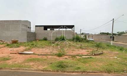 Terreno comercial à venda na Rua Paulo Isaias da Silva, 59, Residencial Vida Nova Maracá (Padre Nobrega), Marília