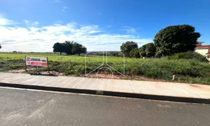 Terreno comercial à venda na Rua dos Ônix, 79, Jardim Maria Izabel, Marília