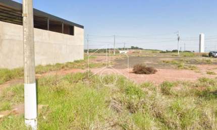 Terreno comercial à venda na Rua Otacilia Amelia da Silva Canale, 1142, Residencial Vida Nova Maracá (Padre Nobrega), Marília