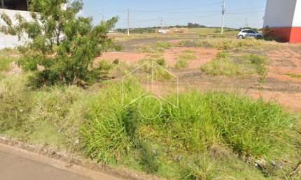 Terreno comercial à venda na Rua Otacilia Amelia da Silva Canale, 1112, Residencial Vida Nova Maracá (Padre Nobrega), Marília