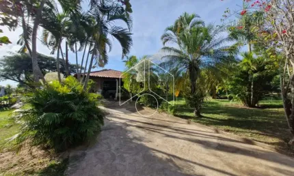 Chácara / sítio com 6 quartos à venda na Rodovia Comandante João Ribeiro Barros, 61, Parque das Indústrias, Marília