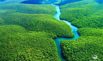 ÁREA LINDÍSSIMA DE 69.140 HECTARES NA AMAZÔNIA OCIDENTAL