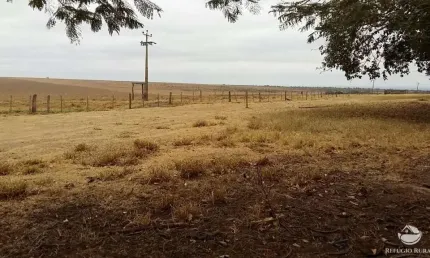Fazenda à venda no Centro, Itiquira 
