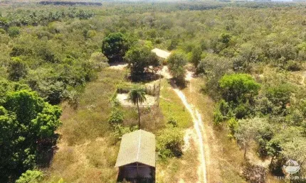 FAZENDA EM LIZARDA/TO - PROPRIEDADE COM RIOS E CÓRREGOS PERENES