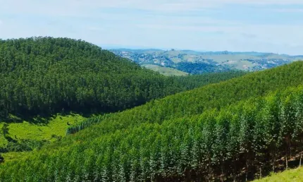 Fazenda à venda na Zona Rural, Igaratá 