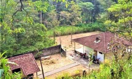 FAZENDA EM SFX COM 36,5 ALQUEIRES EM EUCALIPTO , CASA BOA E CACHOEIRA