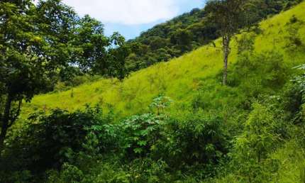 TERRENO COM LINDA VISTA, ACESSO FÁCIL A 6 KM DO CENTRO DE SFX