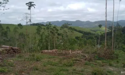 Terreno à venda no Centro, Monteiro Lobato 
