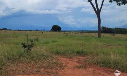 Fazenda à venda no Centro, Coxim 