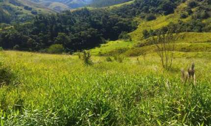 TERRENO EM SÃO FRANCISCO XAVIER COM NASCENTE E  LINDA VISTA