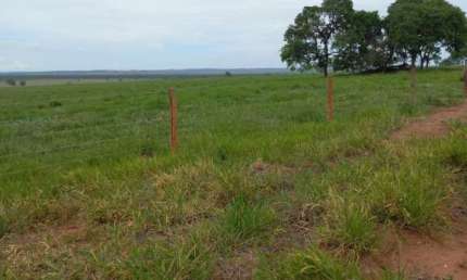 Fazenda à venda no Centro, Figueirão 