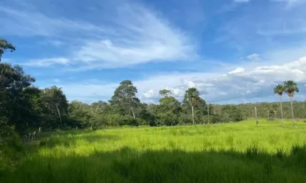 FAZENDA DE 5.600 HECTARES AS MARGENS DO RIO PARNAÍBA EM TASSO FRAGOSO/MA