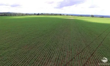 Fazenda à venda no Residencial Castro Alves, Palmeiras do Tocantins 