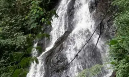 Fazenda à venda no bairro São Francisco Xavier - São José dos Campos/SP