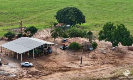 FAZENDA COM EXCELENTE LOGÍSTICA E RIO PERENE EM ESTREITO-MA