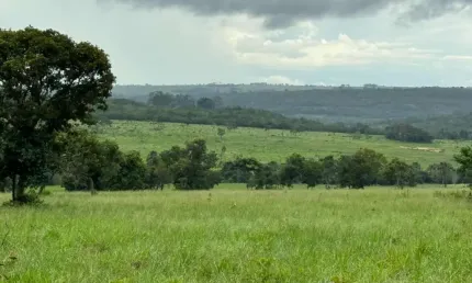 Fazenda à venda no Centro, Primavera do Leste 