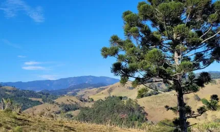 TERRENOS IDEAIS PARA POUSADA OU CHALÉS EM SANTO ANTÔNIO DO PINHAL/SP