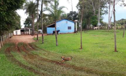 Chácara / sítio com 1 quarto à venda no Distrito Industrial, Uberlândia 