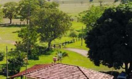 Fazenda à venda no Centro, Chapadão do Sul 