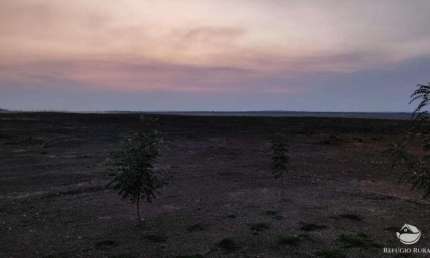 FAZENDA DE 2.150 HECTARES EM CAROLINA - MA COM CASA, ALMOXARIFADO E GALPÃO DE MÁQUINAS.