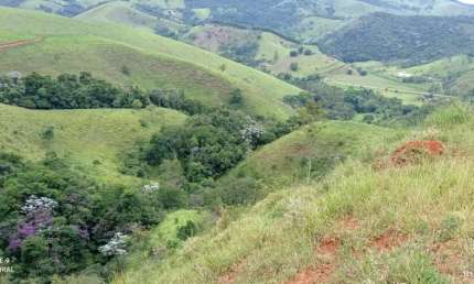 Fazenda à venda no Centro, Monteiro Lobato 