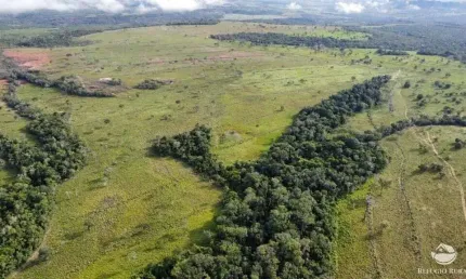 FAZENDA EXCELENTE EM GENERAL CARNEIRO/MT -  ÓTIMA OPORTUNIDADE!
