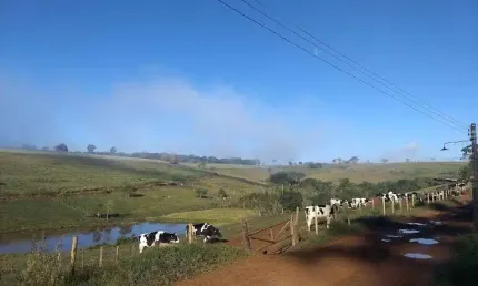 FAZENDA DE LATICÍNIOS E SUINICULTURA EM SÃO LOURENÇO - MG