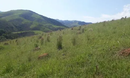 Fazenda à venda em São Francisco Xavier, São José dos Campos 