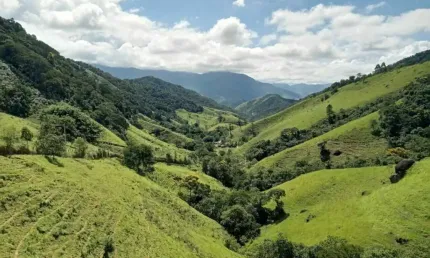 Fazenda à venda em São Francisco Xavier, São José dos Campos 