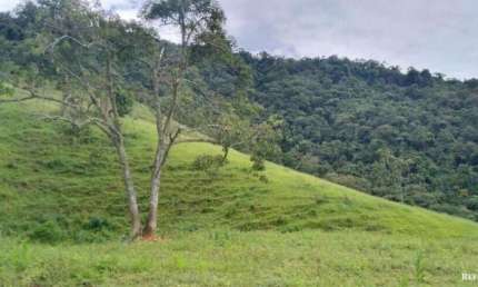TERRENO  EM SÃO FRANCISCO XAVIER COM MATA PRESERVADA E LINDA VISTA