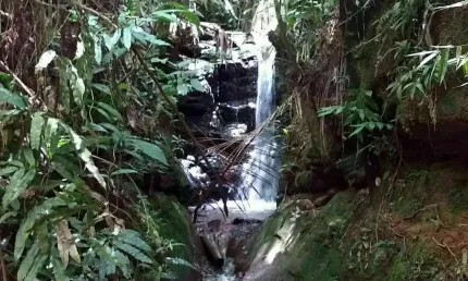 Sítio em caçapava sp com quedas d'água e muita mata (ideal para chalés)