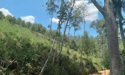 Fazenda à venda no Centro, Igaratá 