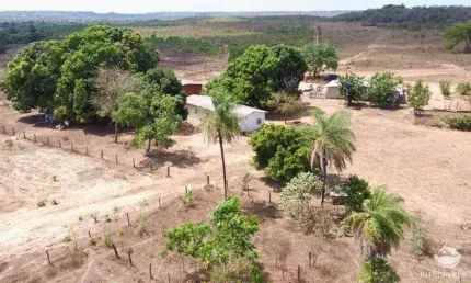 FAZENDA NA REGIÃO DE ARAGUAÍNA -TO - PRÓXIMO AO RIO TOCANTINS